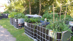 20160719_104255.JPG