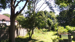 20160719_104105.JPG