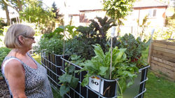 20160719_104140.JPG
