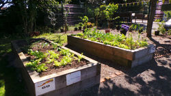 20160719_104304.JPG
