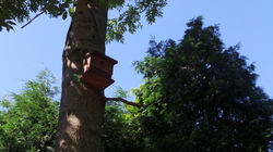 20160719_104532.JPG