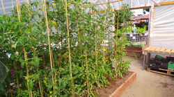 20160719_104426.JPG