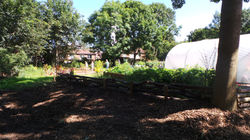 20160719_104458.JPG