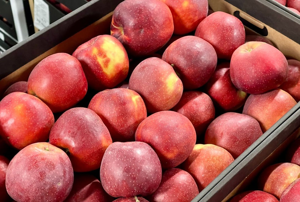 Thumbnail: Red Prince