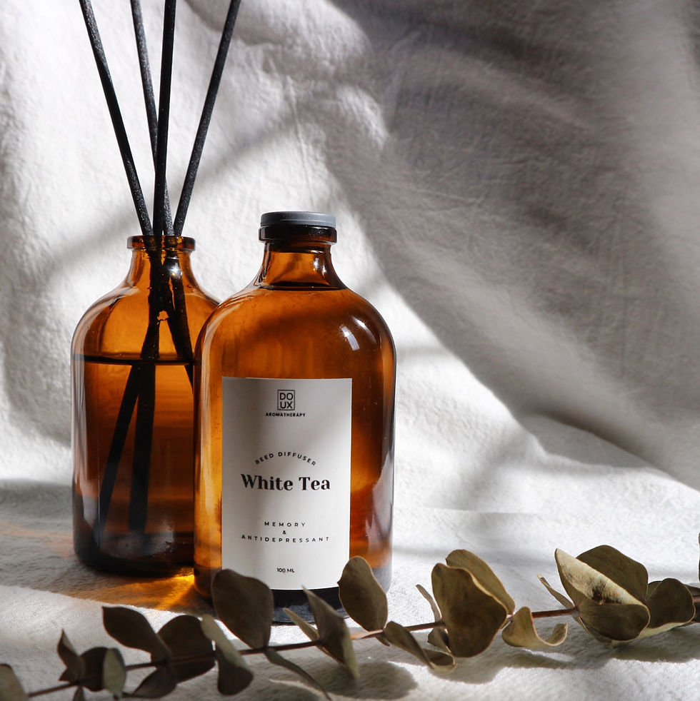 Reed Diffusers 101