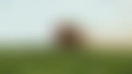 Goiás sanciona lei que extingue o FUNDEINFRA, encerra cobrança ao agro e transfere obras à GOINFRA