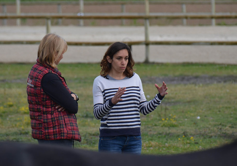 Atelier Equinovent®