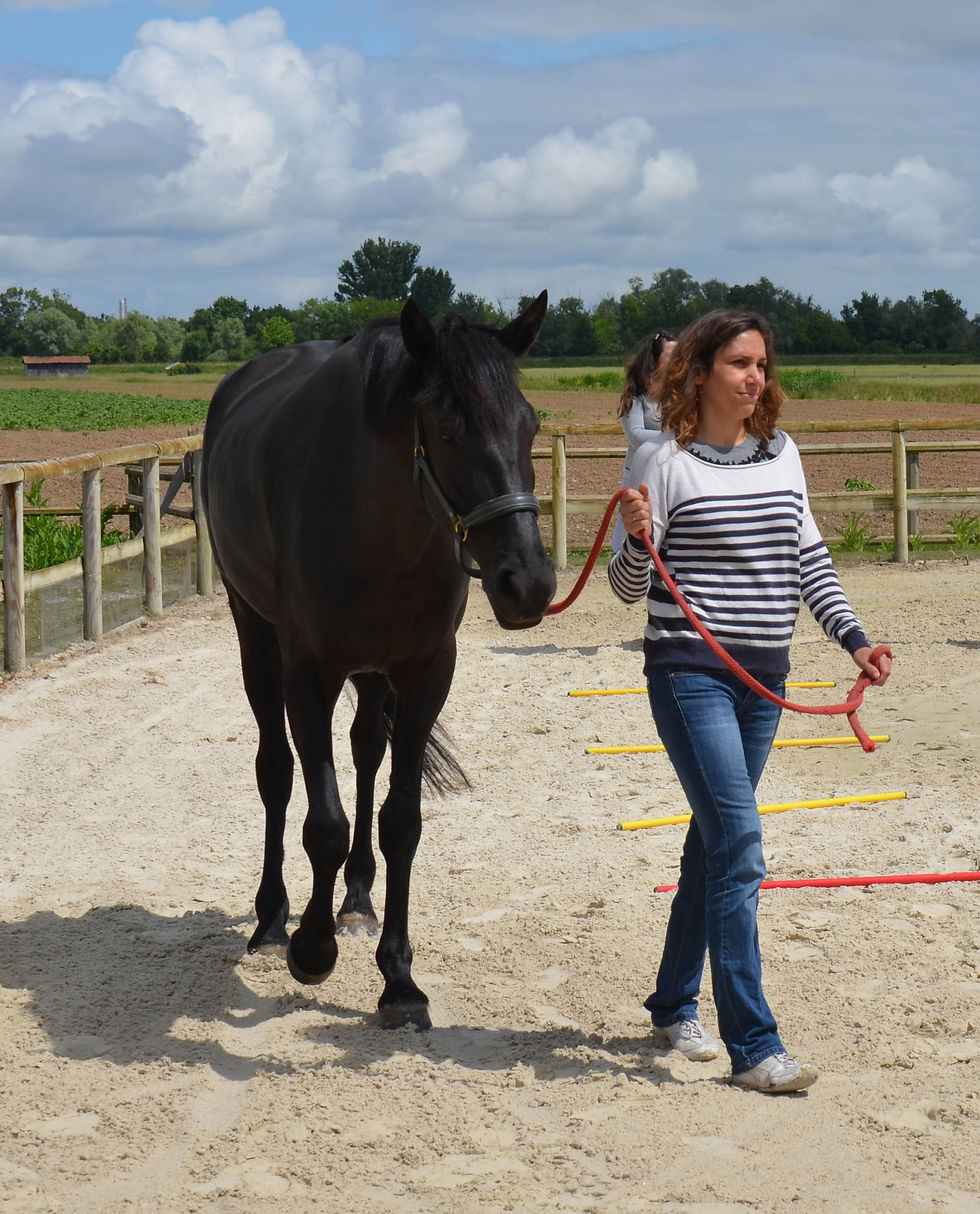 Atelier Equinovent®