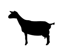 download-2.png