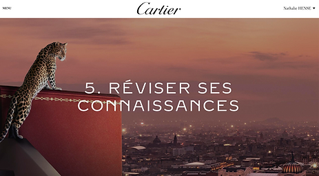 Nathalie Hense CARTIER POLITIQUE D'ACHAT.png