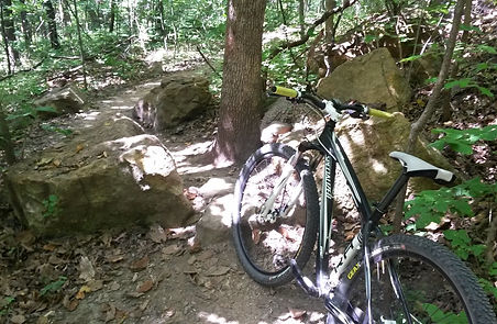 Mountain Biking