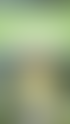 How to Design Patterns: A Guide to Making Your Own Designs!