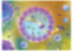 Cover image-Soft Matter