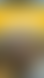 How to Design Patterns: Step 11 - Pattern Listing Photos