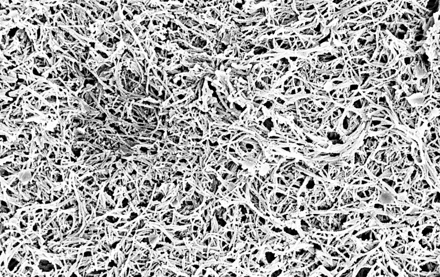 DOPA-CdOH2 nanofibre