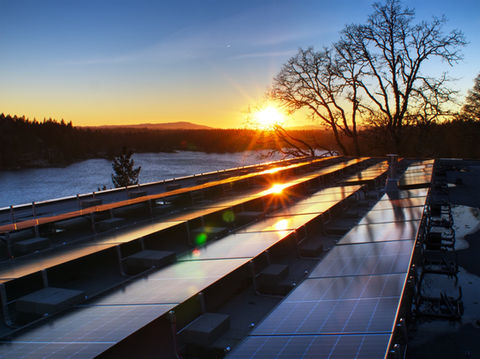 Shot of Sun reflecting off solar panels at Oregon Winery