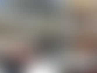 Découverte du métier de facteur.rice polyvalent.e à Vesoul