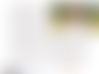 🌻 1..2..3.. Souriez ! À la découverte du Champ des Sourires, un jeune atelier chantier d'insertion à Longvic (21)