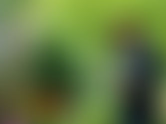 Notre dernier article sur une structure d'insertion en Côte d'or : les Jardins du Cœur !