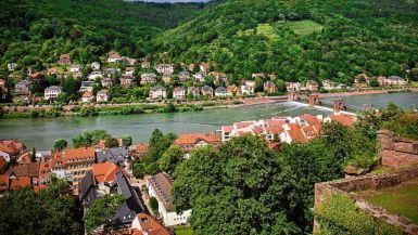 Rhine River Cruises