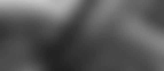 ザミオクルカス