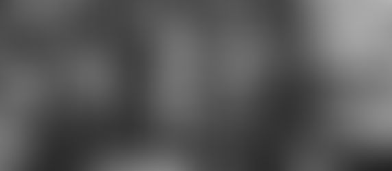 アカラギャラリー