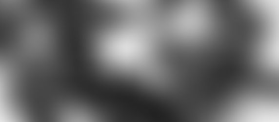 がじゅまるの木