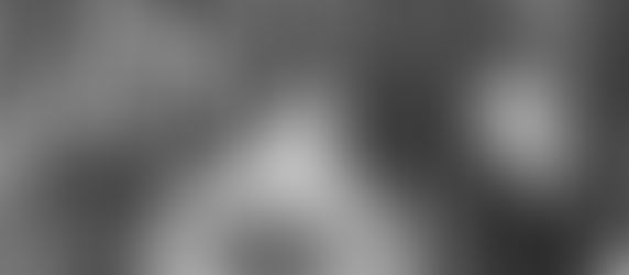 ROGER'S エコバック