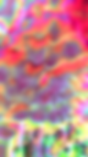 IMG_4845.PNG