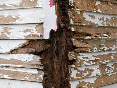 The Art of Exterior Maintenance: Painting and Caulking for a Beautiful Home 