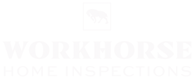 Seattle home inspector