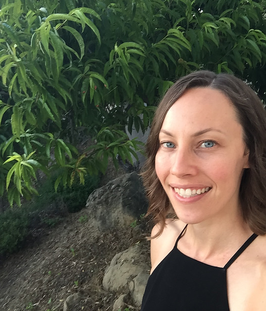 trauma therapy, somatic therapy, trauma healing, Los Angeles, Santa Monica, Agoura