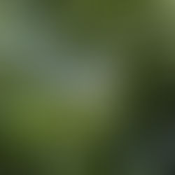 【NK's blog178 近所の風景】