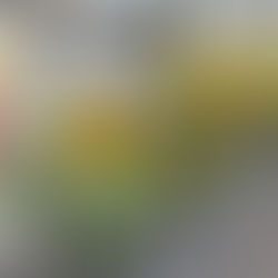 【NK‘s blog 177 新しいスタートに想う事】