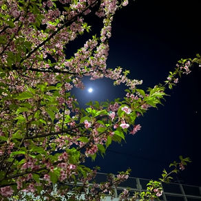 【NK's blog168 いろいろな想い】