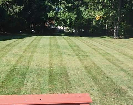 Beautiful Mow Rochester N.Y.