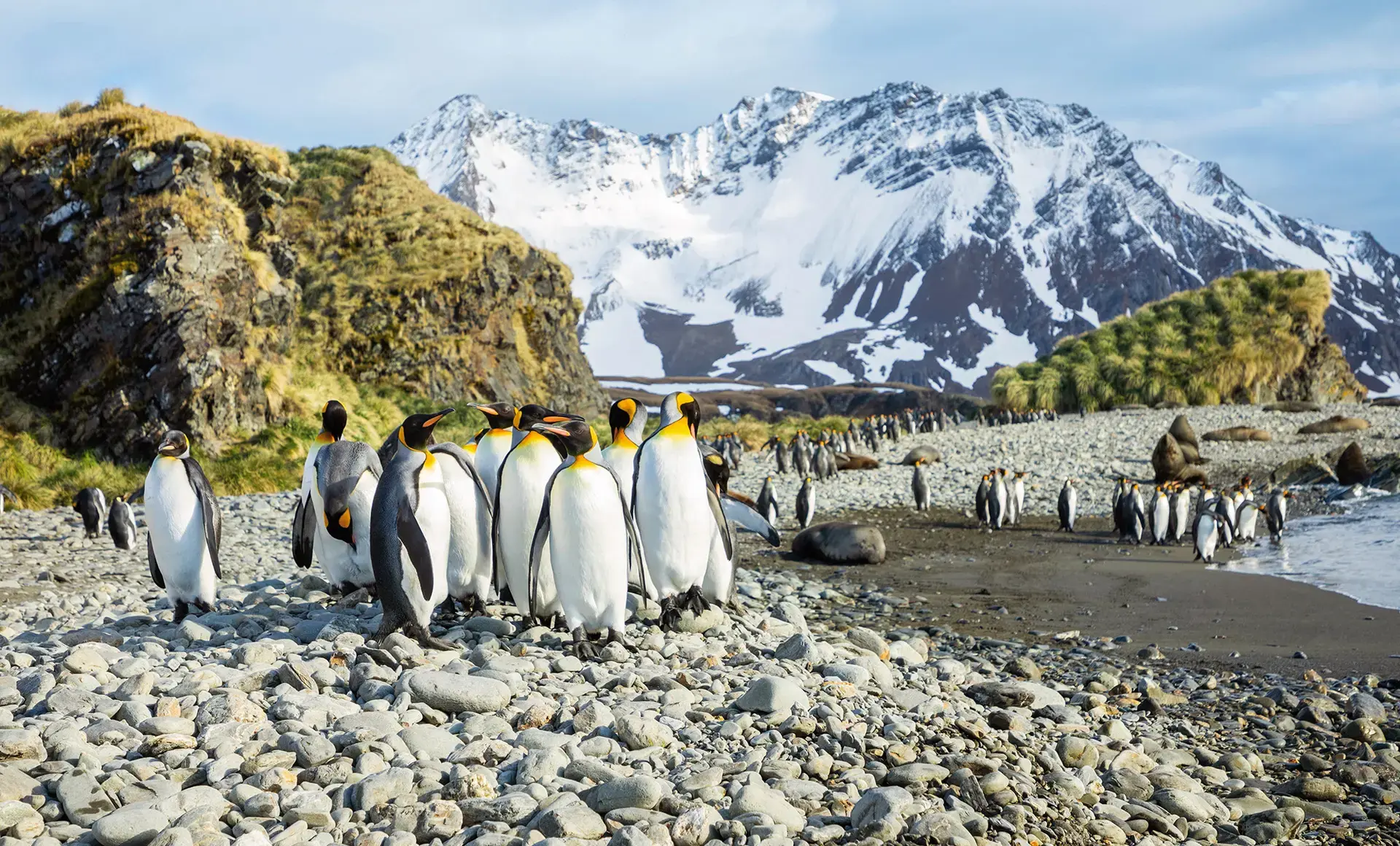 22 Nights Expedition Antarctica: Highlights First Hand