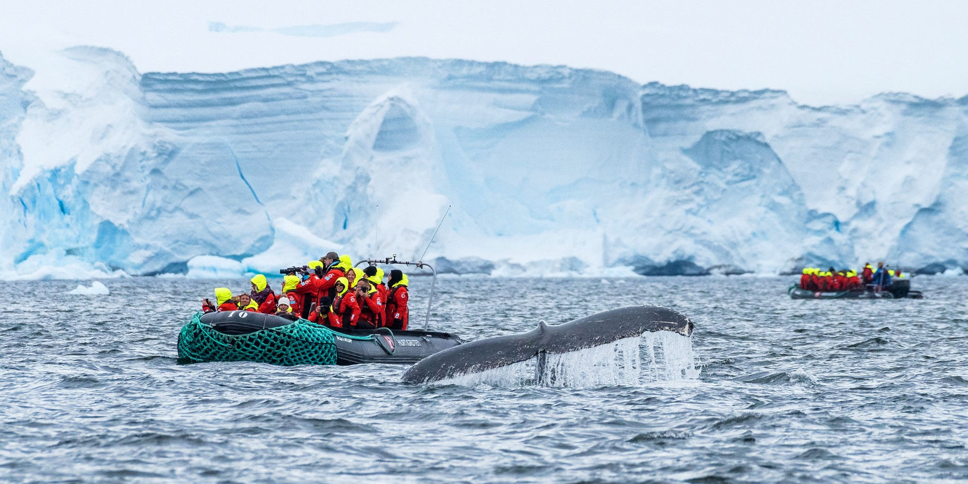 22 Nights In Depth Antarctica, Falklands and South Georgia