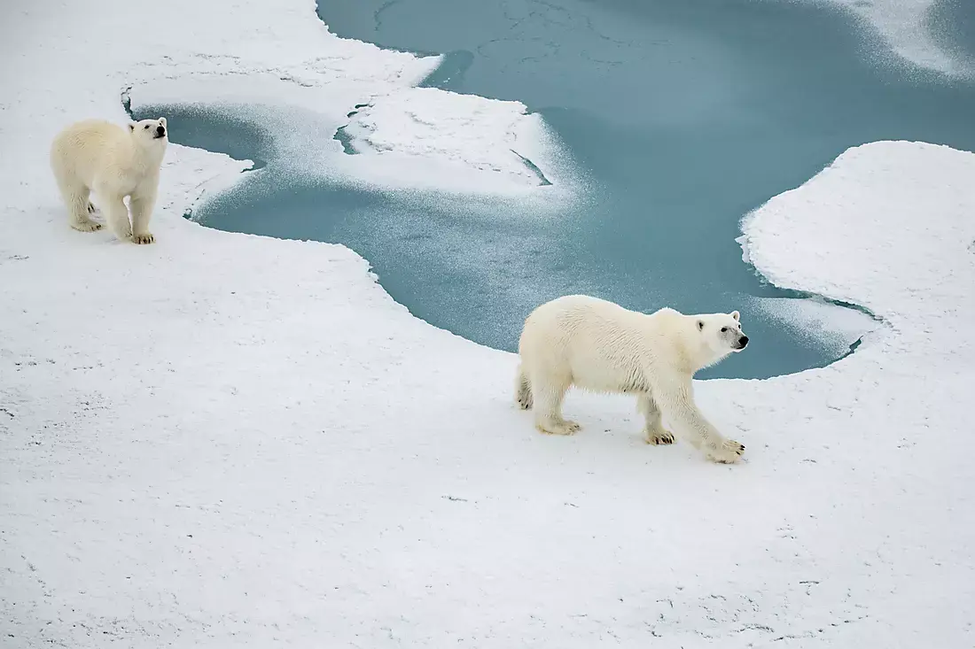 16/17 Nights The Geographic North Pole and the East Coast of Greenland