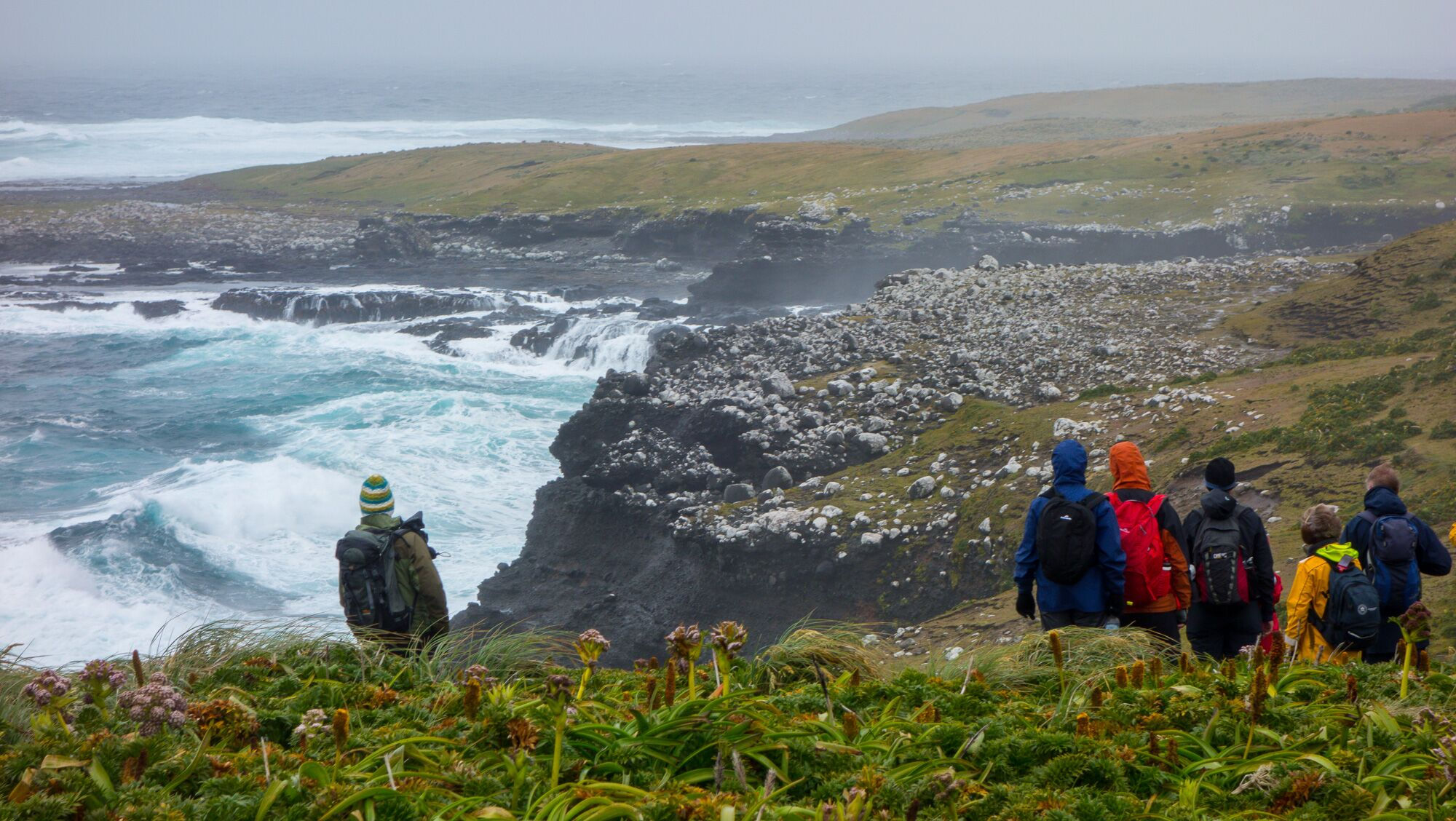 7 Nights Forgotten Subantarctic Islands of the South Pacific