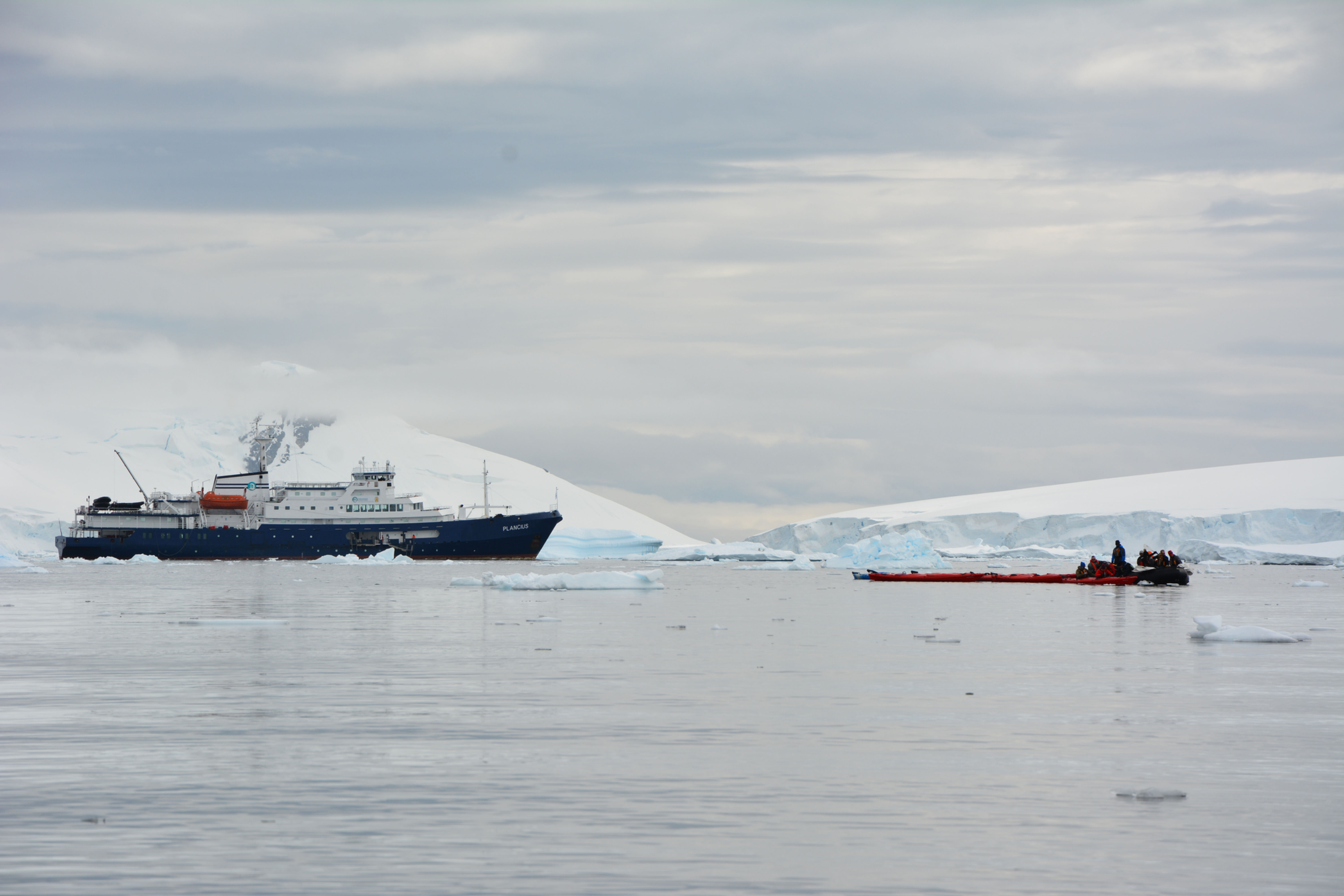 19/20 天福克兰，南乔治亚和南极半岛探险游