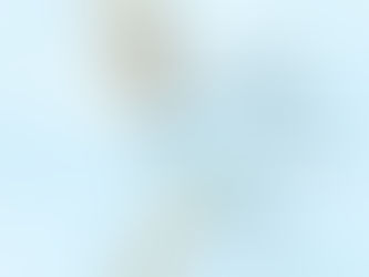 Epic Falkland, South Georgia, Weddell Sea and Antarctica Voyage on Scenic Eclipse (Oct-Nov 2025)