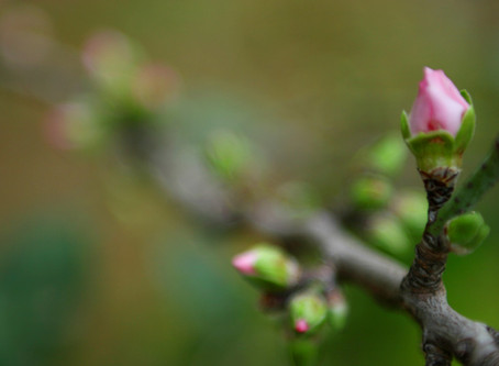 Spring is here