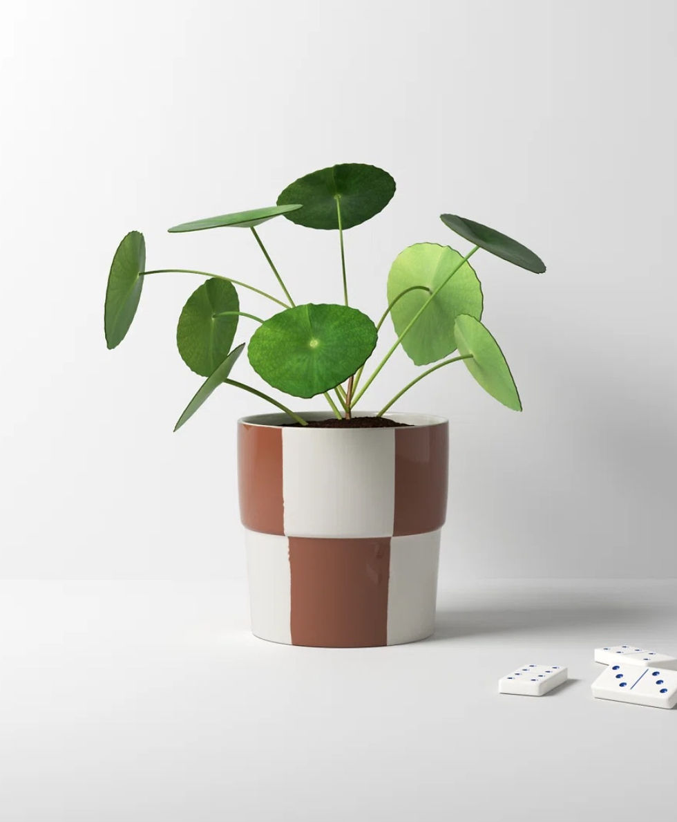 Pottery for Plant Lovers: Make your own planter and plant stakes
