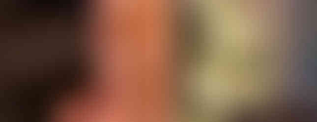 Dunlap Hollow Trails Panphlet