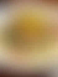 Fish special at steve and cookies