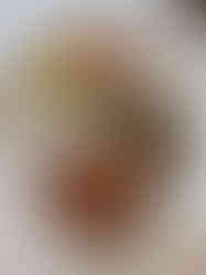 Steve and Cookies Salmon special