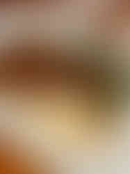 steak special at steve and cookies