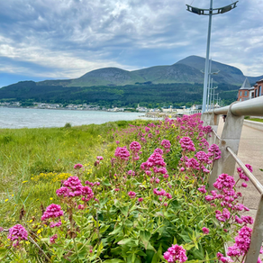 Newcastle, Northern Ireland: Where Mountains Embrace the Sea