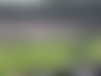 Wimbledon: A Grand Slam of Luxury and Sustainability